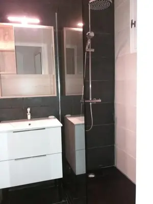 a bathroom with a shower and a sink and a mirror at Le Paesolu in Grosseto-Prugna
