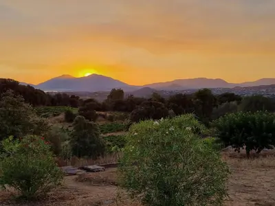 a sunset in a field with mountains in the background at FORCONE in Cauro
