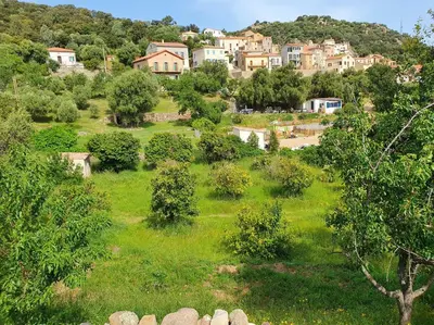 a green field with trees and houses on a hill at Hôtel Casale Olmia in Moncale