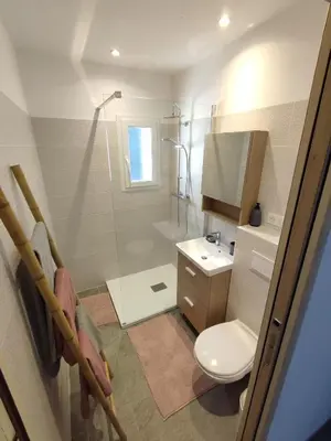 a bathroom with a shower and a toilet and a sink at Olmeto 3 pièces in Olmeto