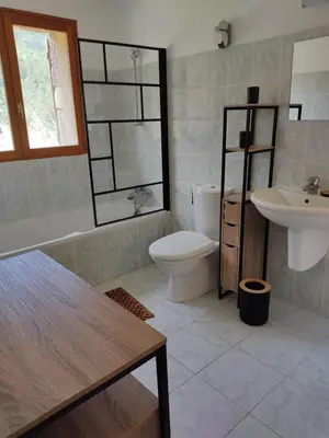 a bathroom with a toilet and a sink at Les bergeries de Montestremo in Manso