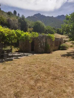 a stone wall with a table and some vines at Les bergeries de Montestremo in Manso