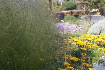 a garden with yellow and purple flowers and grass at Les Jardins De Santa Giulia - Charmante chambre dhte in Porto-Vecchio