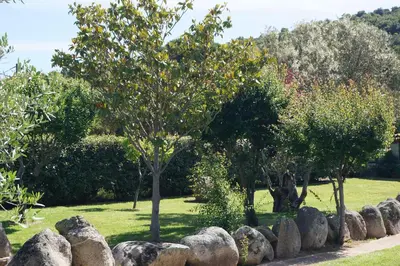 a row of rocks and trees in a park at Les Jardins De Santa Giulia - Charmante chambre dhte in Porto-Vecchio