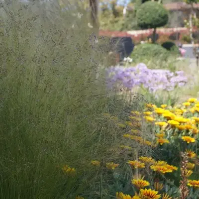 Les Jardins De Santa Giulia - Charmante chambre dhte