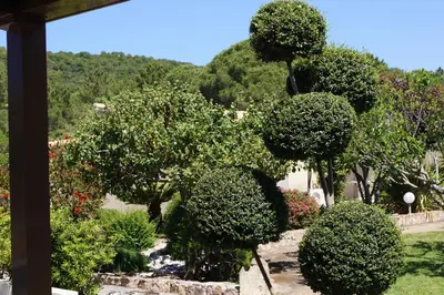 a garden with bushes and trees in a yard at Les Jardins De Santa Giulia - Charmante chambre dhte in Porto-Vecchio
