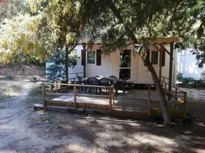 a porch of a house with chairs and a tree at Résidence Santa in Ghisonaccia