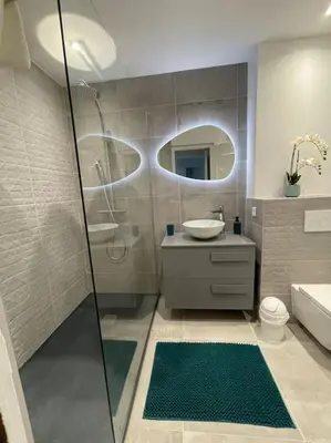 a bathroom with a shower and a sink and a toilet at Le Pélican T2 Magnifique in Ajaccio