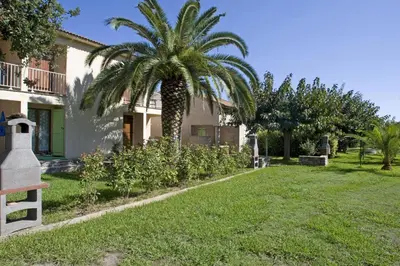 a palm tree in a yard next to a building at Residence Scopa Marina in Poggio-Mezzana