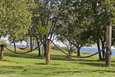 a hammock in a field with trees and water at Residence Scopa Marina in Poggio-Mezzana