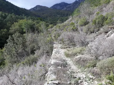 a rocky trail in the mountains with trees at JOLIE VILLA dans un endroit paisible, à 3 mn de la Mer et de la Montagne in Ventiseri