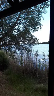 a view of a body of water with a tree at JOLIE VILLA dans un endroit paisible, à 3 mn de la Mer et de la Montagne in Ventiseri