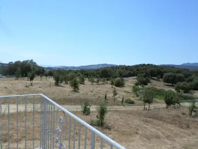 a view of a field with trees at Villa vue mer et nature route de Cigala in Sollacaro