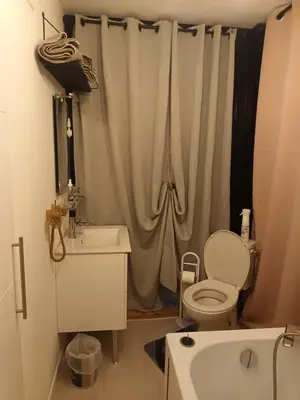 a bathroom with a white toilet and a sink at U San Francescu Maisonette Modulaire Type studio in Volpajola
