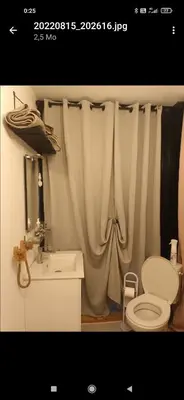 a bathroom with a sink and a toilet and a shower curtain at U San Francescu Maisonette Modulaire Type studio in Volpajola