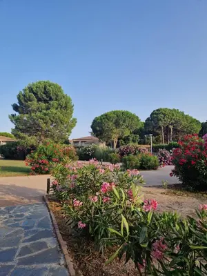 a living room with a couch and a table at Fiori di Cala Rossa résidence hôtelière in Lecci