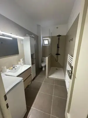 a bathroom with a sink and a shower and a toilet at Chez Caro in Sartène