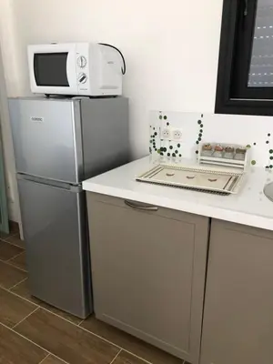 a kitchen with a refrigerator and a microwave at Villa Jade in Sartène