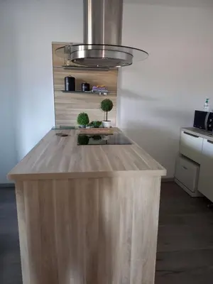 a kitchen island with two potted plants on it at afa butrone sarrola in Afa