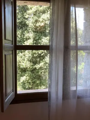 a window with a view of a tree at Domaine Pardini in Porto-Vecchio
