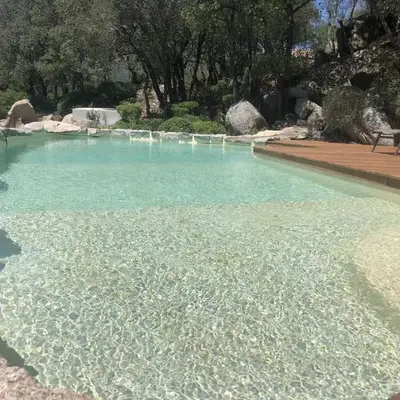 Domaine Pardini