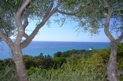 a view of the ocean from a hill with trees at VILLA 4pers, STUNNING SEA VIEW, BEACH ON FOOT 4* in Olmeto