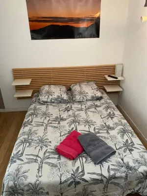 a bedroom with a bed with a red pillow on it at Chambre chez l habitant 2 nuit maximum !! Une 2 eme chambre possible in Porticcio