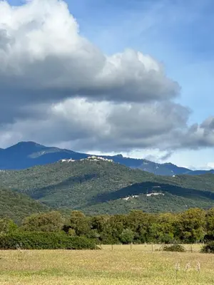 a field with trees and mountains in the distance at les bungalows de Lisa Maria in SERRA DI FIUMORBO