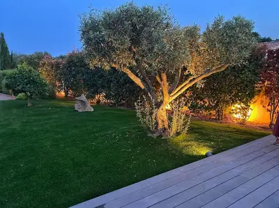a tree in the middle of a grassy yard at Villa avec piscine privée à Sainte Lucie in Sainte-Lucie de Porto-Vecchio