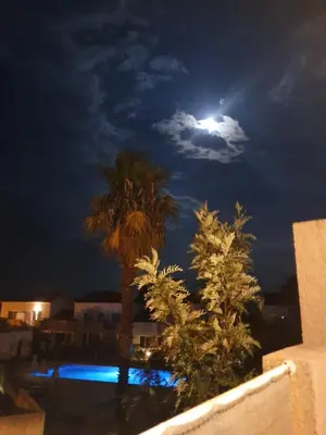 a full moon over a palm tree at night at Superbe appartement en résidence avec piscine proche plage in Linguizzetta