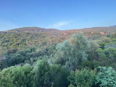 an overhead view of a forest of trees at Magnifique villa vue mer avec piscine in Coti-Chiavari