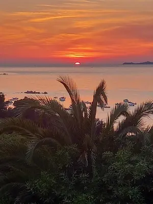 a sunset over the ocean with palm trees in the foreground at Magnifique villa vue mer avec piscine in Coti-Chiavari