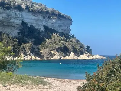 a beach in front of a mountain with blue water at Appartement spacieux à Porto-Vecchio avec piscine partagéeB in Porto-Vecchio