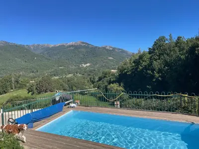 a dog is standing next to a swimming pool at chez marie jo Chez marie jo in Cozzano