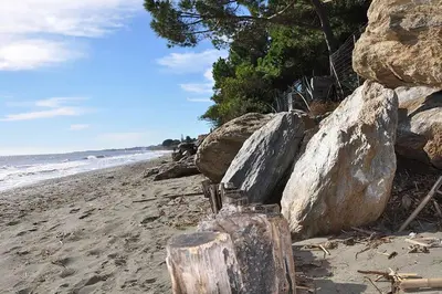 a group of rocks on a beach next to the ocean at Appartement charmant en Corse avec terrasse au calme in Santa-Lucia-di-Moriani