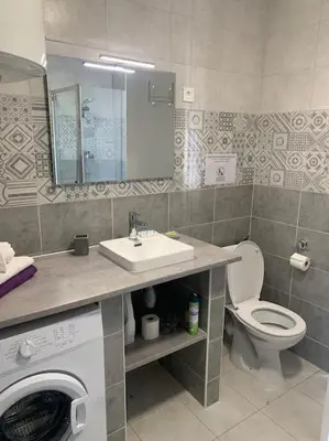 a bathroom with a toilet and a sink and a washing machine at Appartement 35m2 climatisé a 10 min d’Ajaccio in Alata