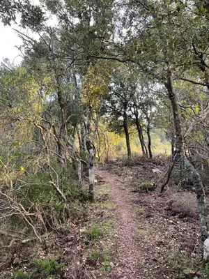 a dirt trail through a wooded area with trees at Maison de caractère rénovée Coggia in Coggia