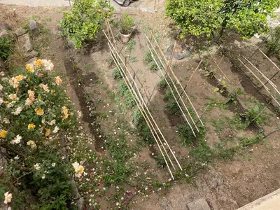 an overhead view of a garden with flowers and plants at Maison de caractère rénovée Coggia in Coggia