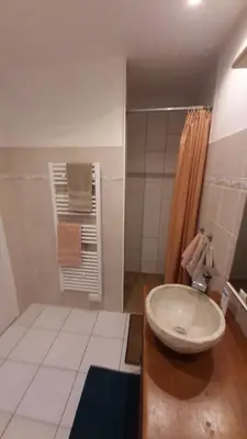 a bathroom with a sink and a shower at Côte Est Pancheraccia Chambre Petit déjeuner in Pancheraccia
