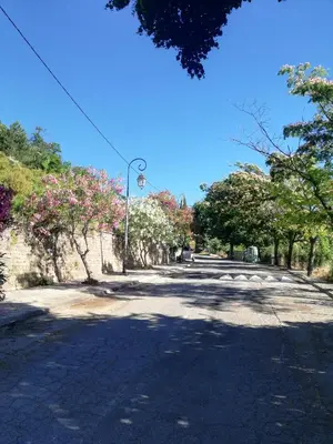 an empty road with trees and a street light at Côte Est Pancheraccia Chambre Petit déjeuner in Pancheraccia
