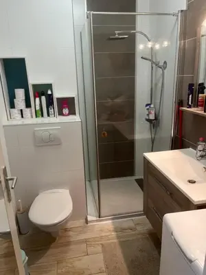 a bathroom with a shower and a toilet and a sink at SUPERBE APPARTEMENT FACE AUX ILES SANGUINAIRES in Ajaccio