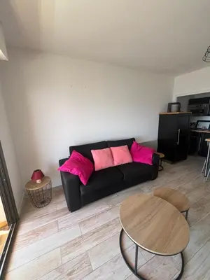 a living room with a black couch and pink pillows at SUPERBE APPARTEMENT FACE AUX ILES SANGUINAIRES in Ajaccio