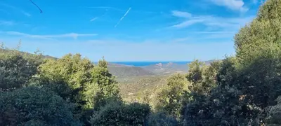 a view of a forest with mountains in the background at Vos vacances à Lama France Corse in Lama
