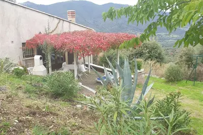 a house with red flowers on the side of it at Vos vacances à Lama France Corse in Lama