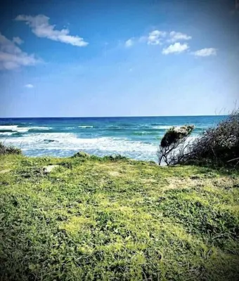 a beach with the ocean and a rock in the grass at La Casetta Prunete in Cervione