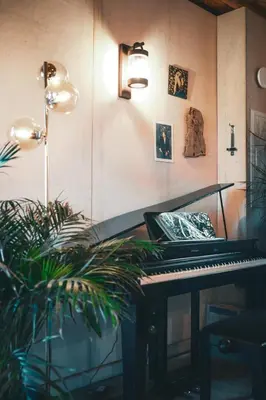 a piano in a room with a potted plant at VILLA FLAKA Boutique Hôtel Wellness in Cargèse
