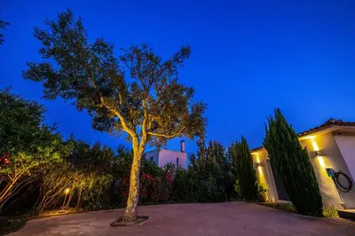 a tree in front of a house at night at Villa Les Arbousiers - Piscine Chauffée Sécurisée - 210m2 - 4 Suites in Porto-Vecchio