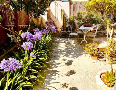 a garden with purple flowers and a table and a fence at Villa Jeannette in Grosseto-Prugna