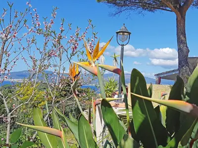 a street light and some plants and a tree at Les Terrasses du Pano - 95 m2 au calme - Jardin - Barbecue - Transats - Pleine vue mer - Wifi Fibre in Porticcio