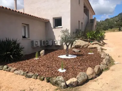 a garden in front of a house with a tree in it at Appartement proche des plus belles plages in Porto-Vecchio